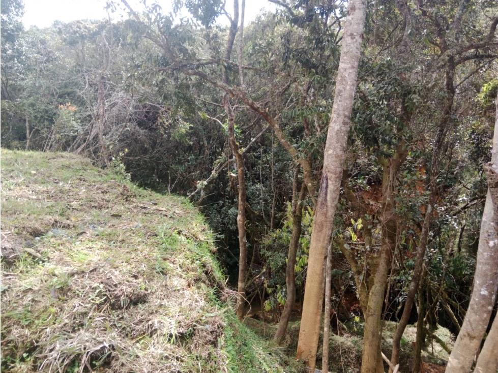 Venta lote de en sector barro blanco de 350m2