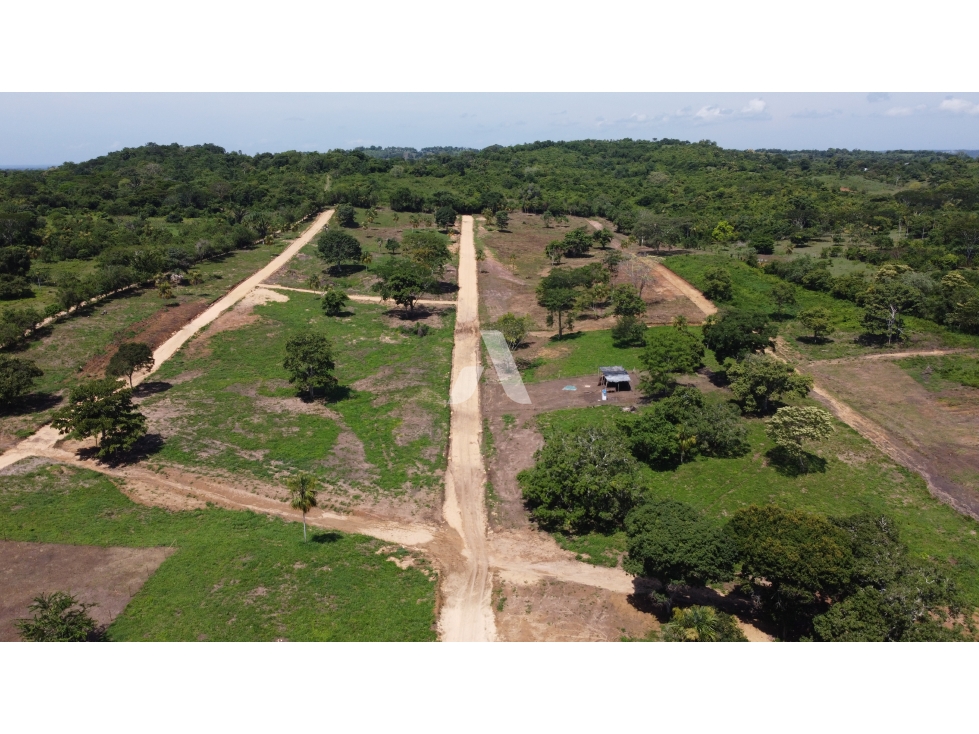 PRADERA CAMPESTRE, Cañaveral