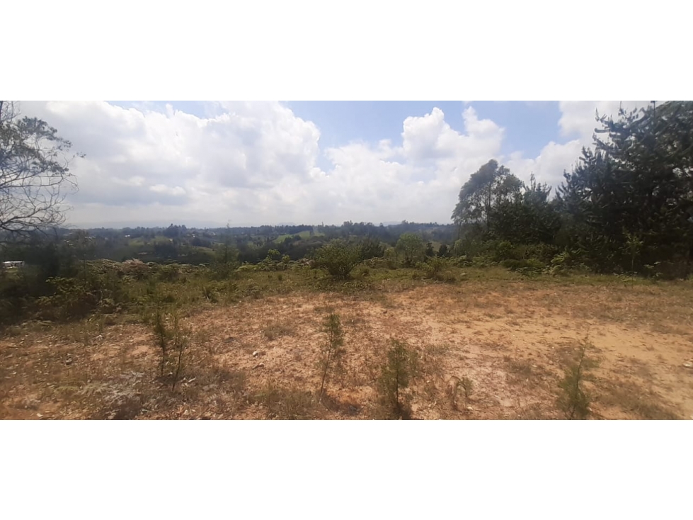 Lote en Venta en Rionegro Antioquia Sector Mampuesto