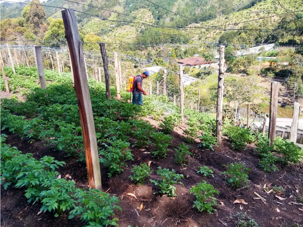 VENTA DE LINDA FINCA 5.800 MTS2 EN LA CEJA - ANTIOQUIA