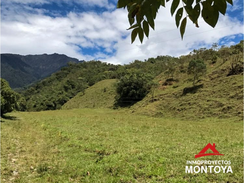 Finca de 400 cuadras en Pueblo Rico, Risaralda