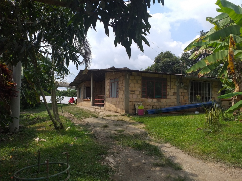 FINCA AGRICOLA - VEREDA SAN ANDRES - LA MESA CUNDINAMARCA