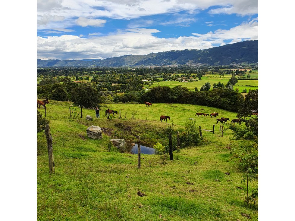 VENTA LOTE TENJO VEREDA DE MARTIN