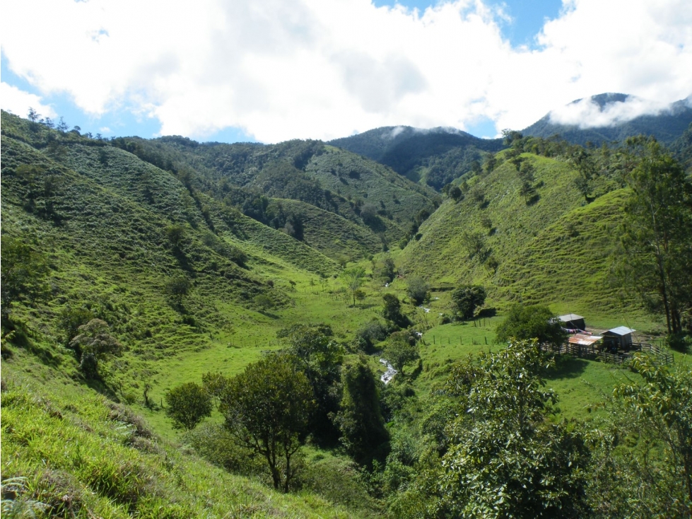 Se Vende Finca En Abriaqui - Antioquia