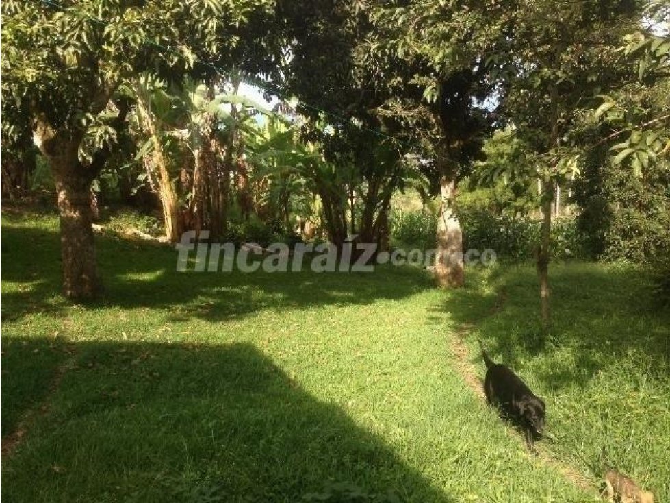 Finca en Genova, Quindío