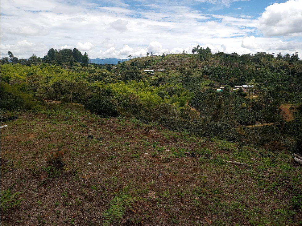 LUXA VENDE LOTE SECTOR ALTOS DE GUAYACAN VIA A EL TAMBO-CAUCA