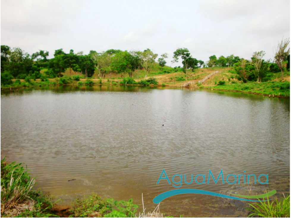 Finca en Zambrano Bolívar