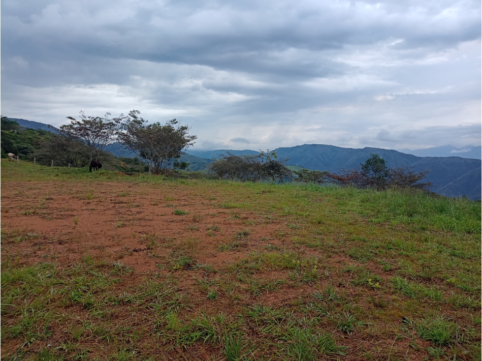 Venta Lote Vereda Loma Hermosa, San Jerónimo, Antioquia