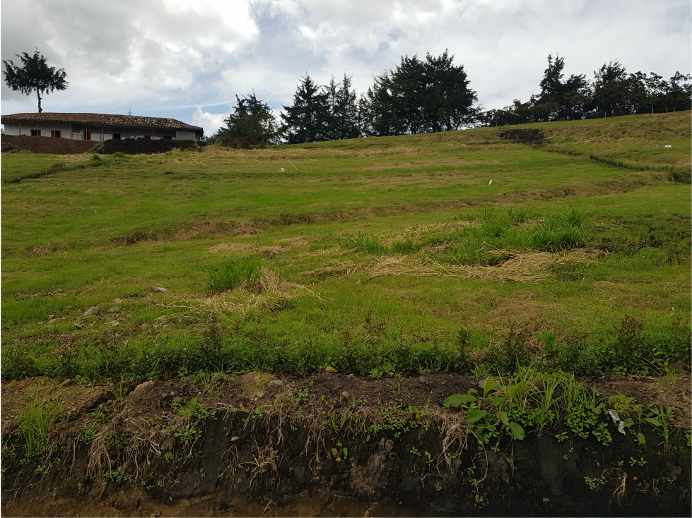 en venta lotes campestres en el carmen de viboral, Antioquia.