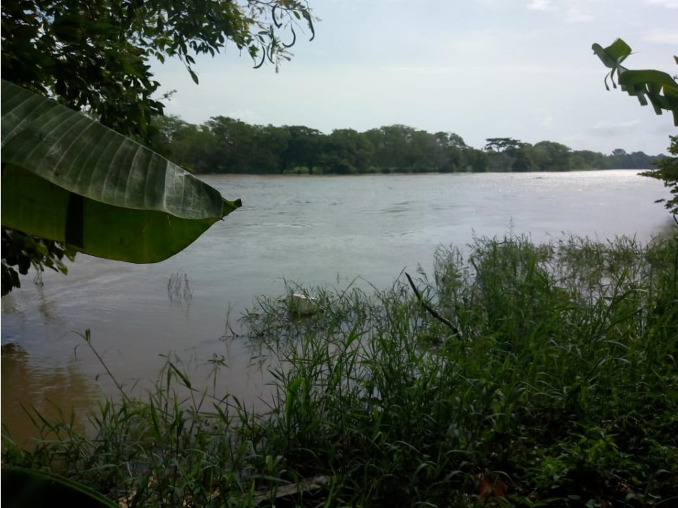 EN VENTA FINCA EN LA DOCTRINA AL LADO RIO SINU LORICA COLOMBIA