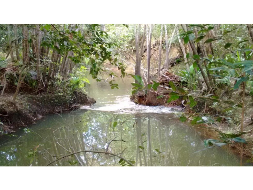 FINCA DE 1.370 HECTAREAS VIA RUBIALES EN PUERTO GAITAN- META