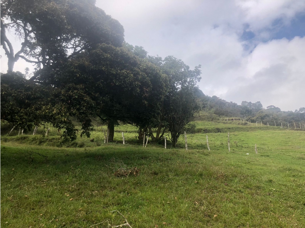 LOTE APTO PARA CULTIVO, GANADO O PARCELAR EN GUARNE