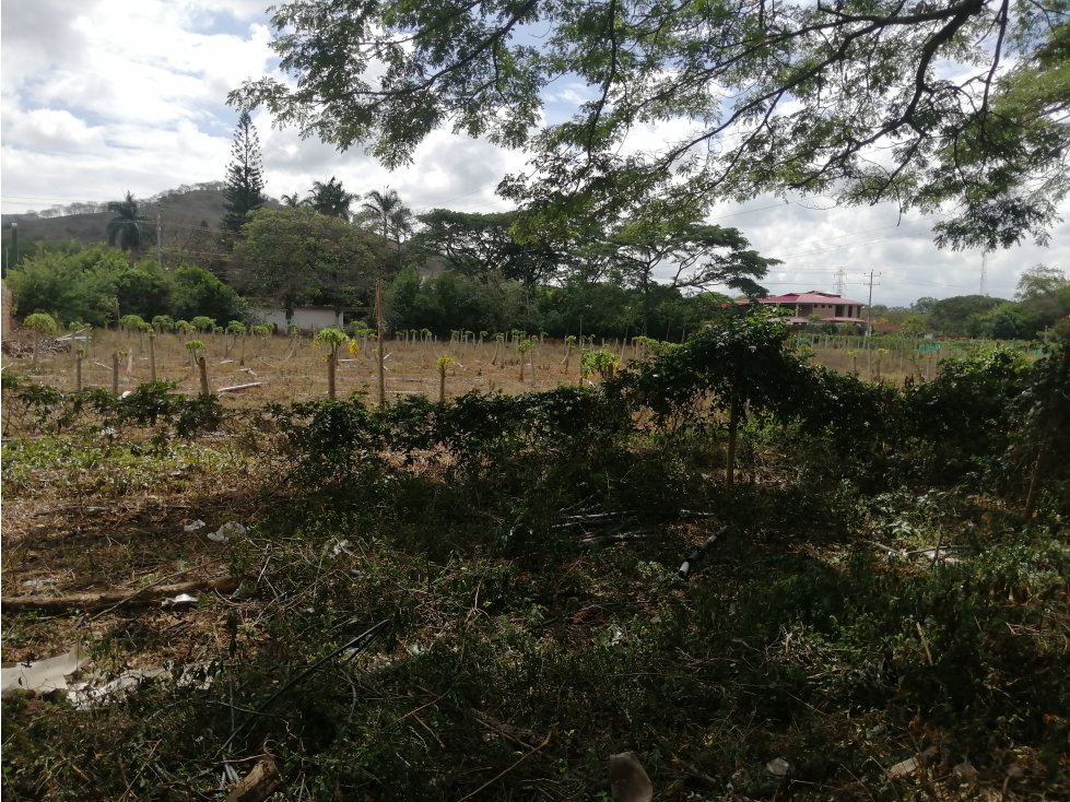 Vendo Lote sobre la panamericana en Vijes, Valle