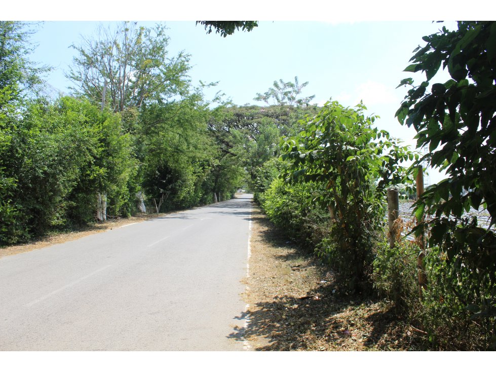 Vendo 7 Hectareas sobre la via Panorama en Vijes, Valle del cauca