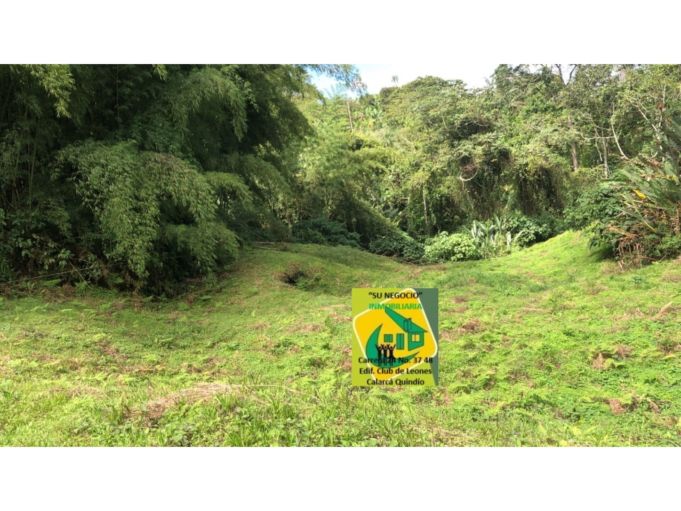 LOTE UBICADO EN LA VEREDA DE CHAGUALA A 5 MINUTOS DE CALARCÁ QUINDÍO.