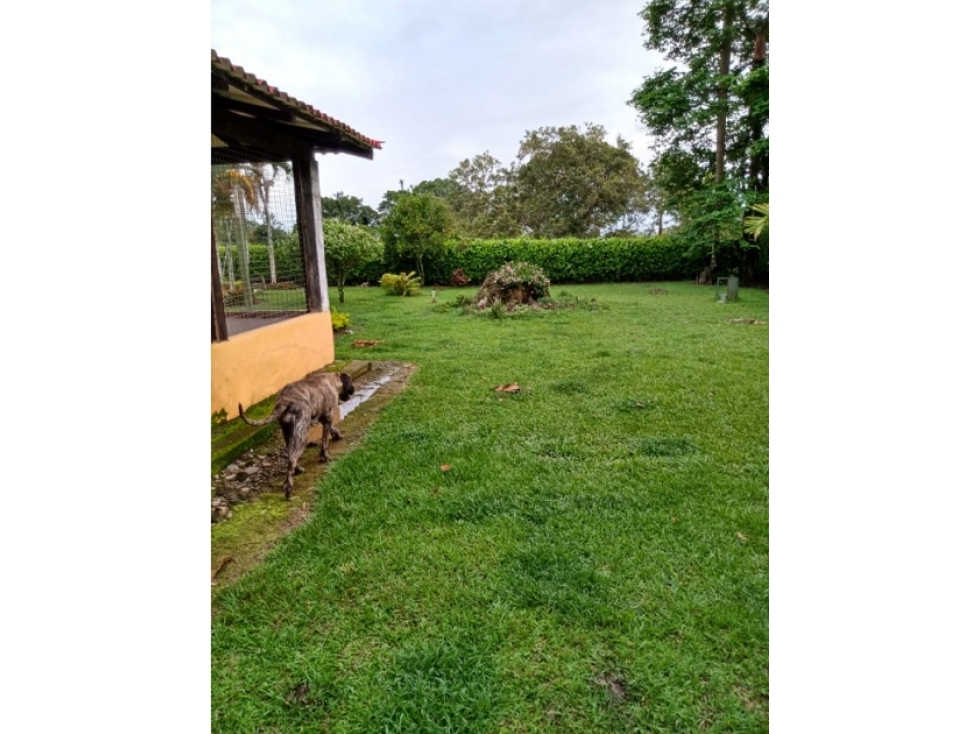 Se vende Finca Guamal Meta