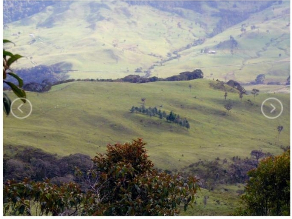 Se vende Finca Roncesvalle Tolima