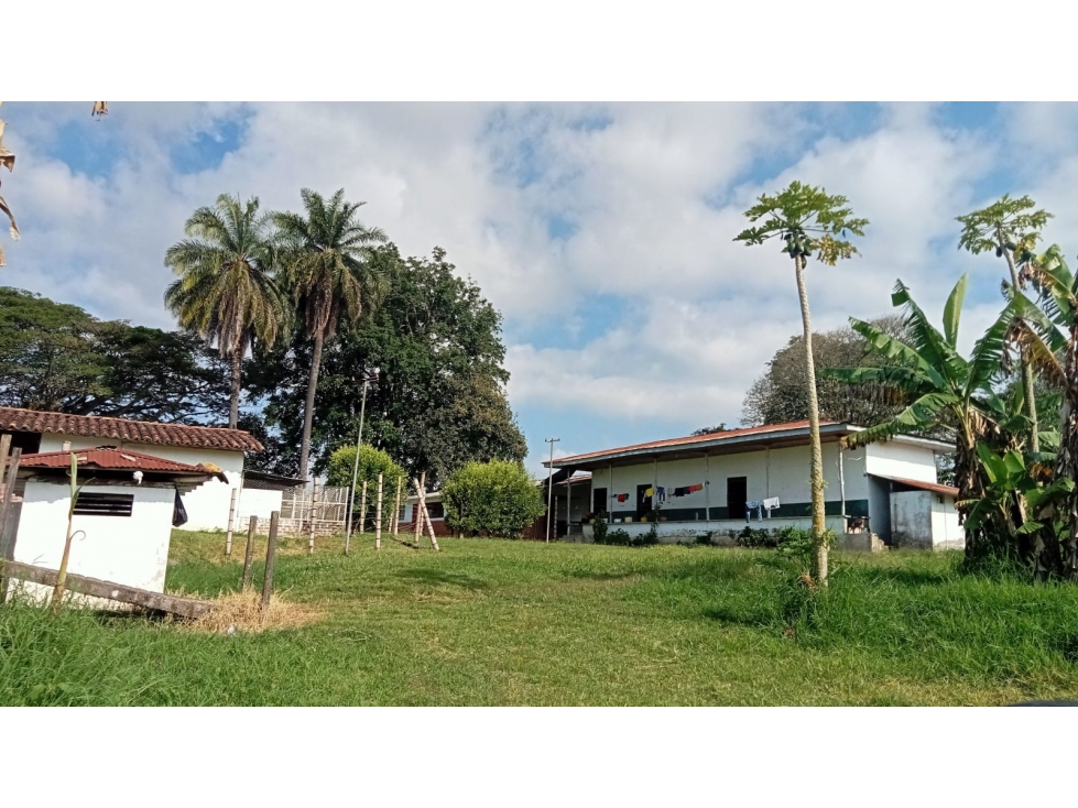 Se vende Finca S. El Caimo Quindío