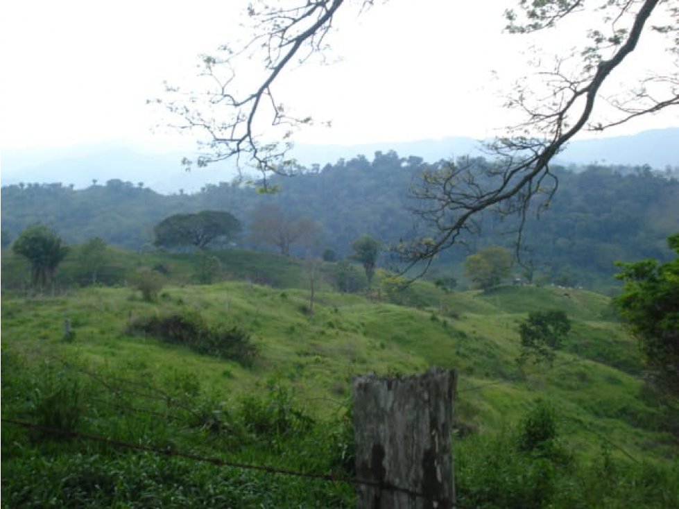 Se vende Finca en Boyacá - Dorada