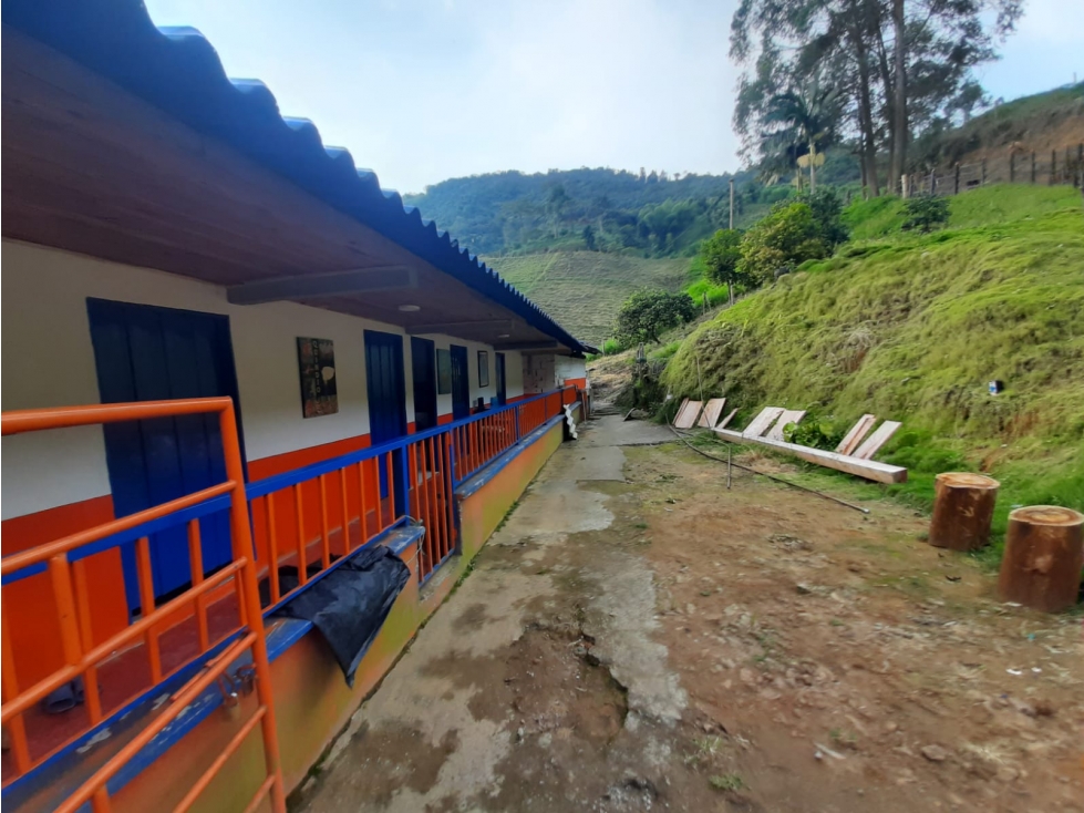 Se vende Finca Buenavista Quindío