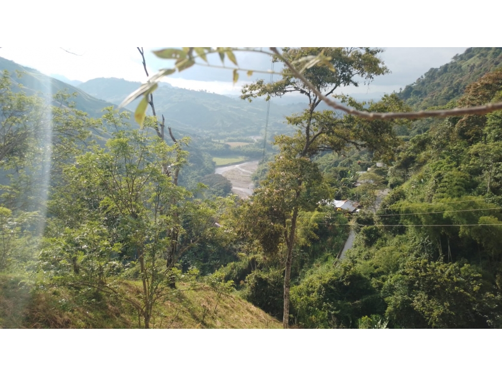 Se vende Finca Barragán - Génova  Quindío