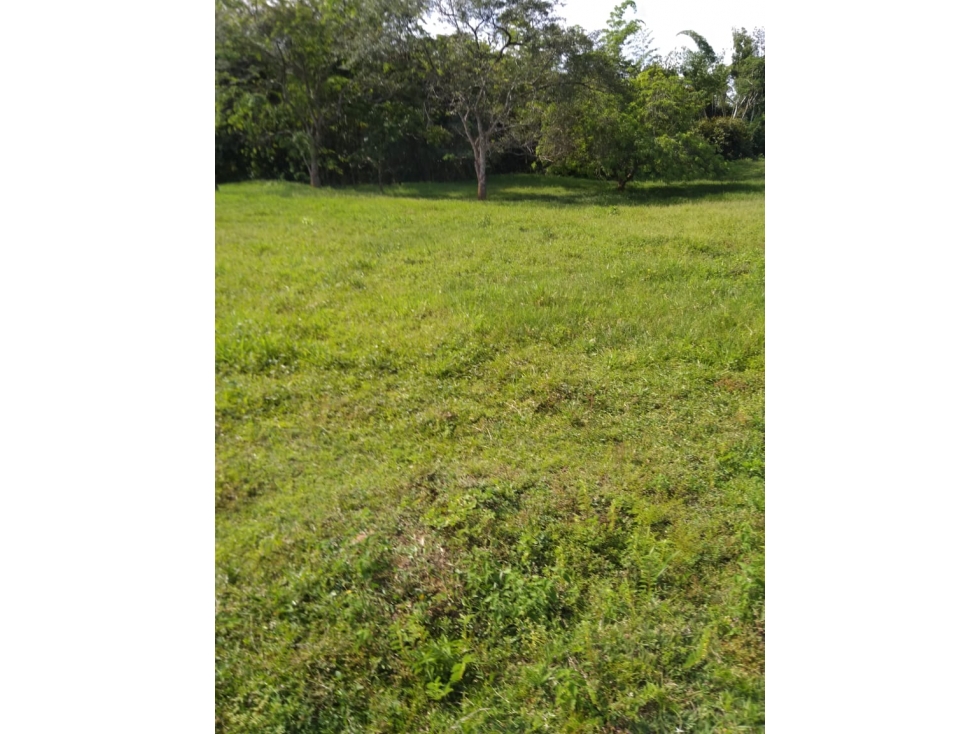 Se Vende Finca En Paratebueno - Cundinamarca.