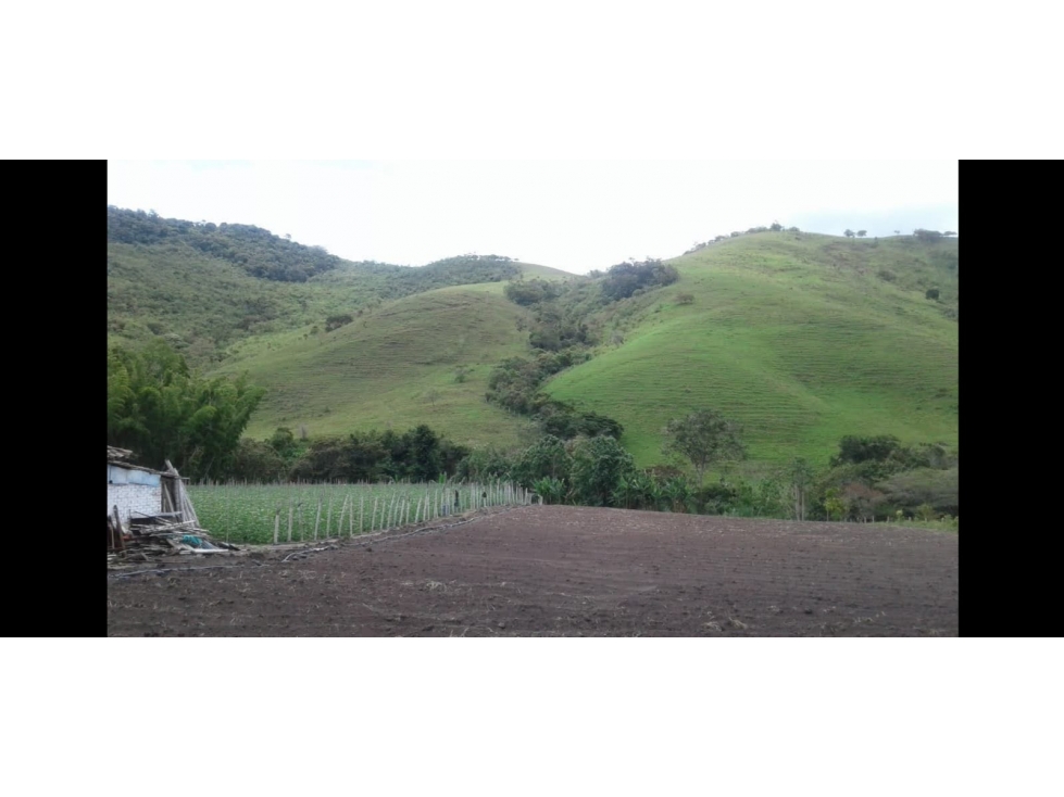 Se vende Finca en El Dovio Valle