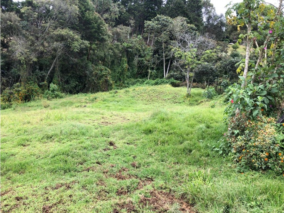 Vendo lote en vereda montañes