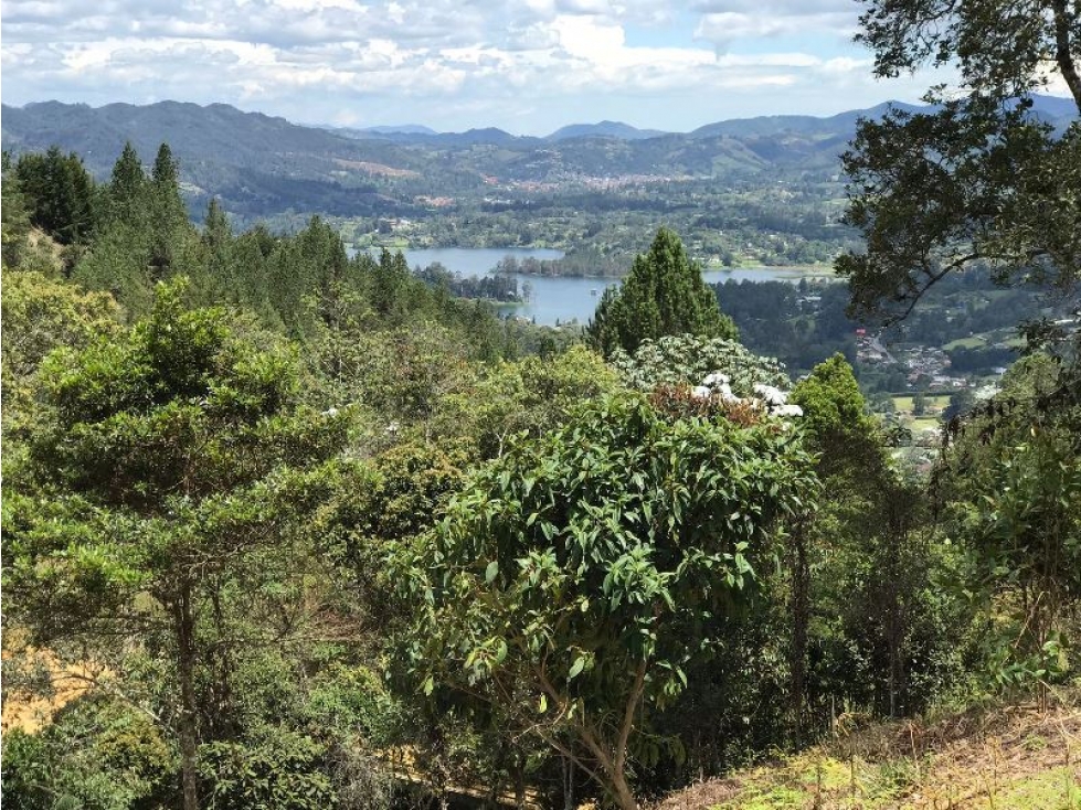 Venta Lote sector El Salado en el Retiro Antioquia