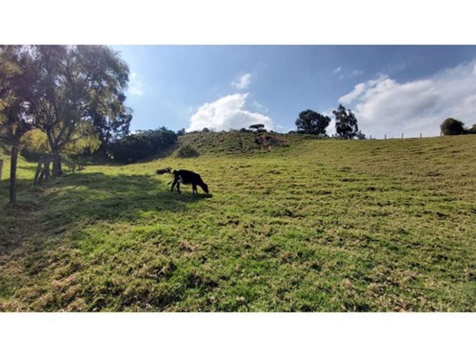 Venta de Lote en Tabio (Cundinamarca) explanado listo para construir