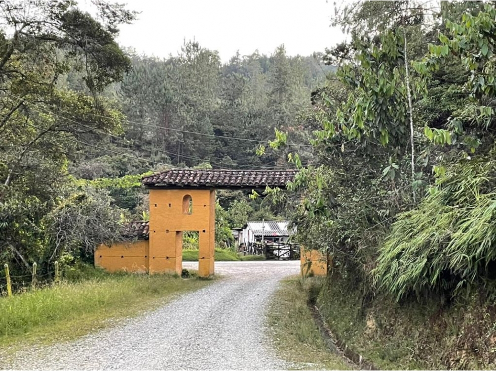 HERMOSO LOTE EN LA CEJA - ANTIOQUIA