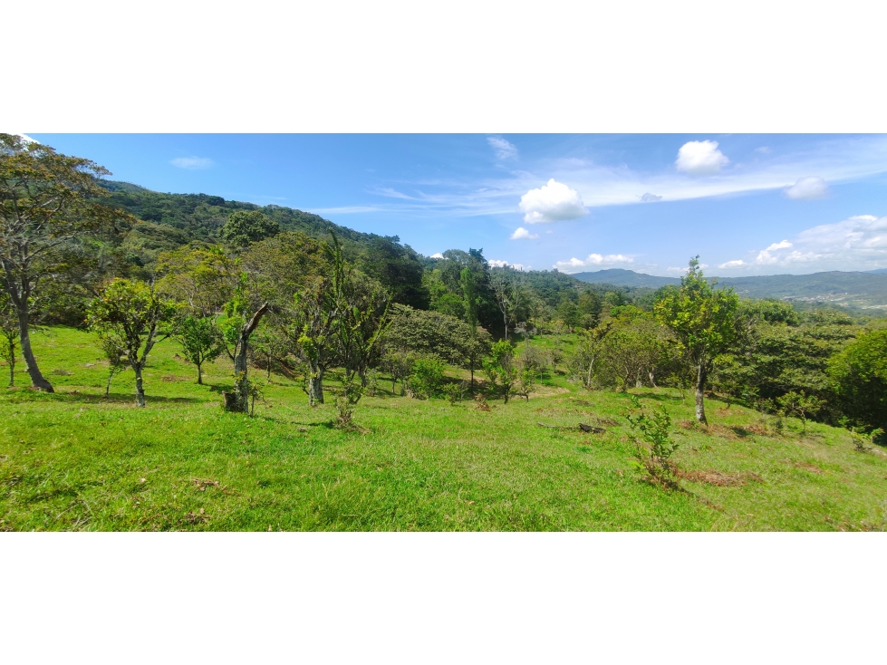 Venta Finca - Moniquirá (Vereda Pila Grande)