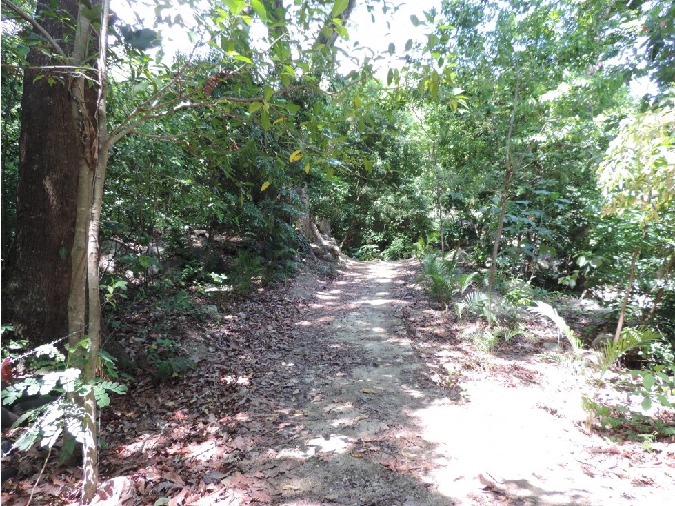 Lote En Venta  Bonda Curval