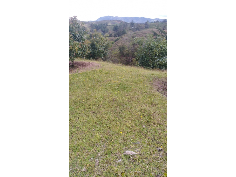 Finca para la venta en San Vicente - Vereda San Nicolas