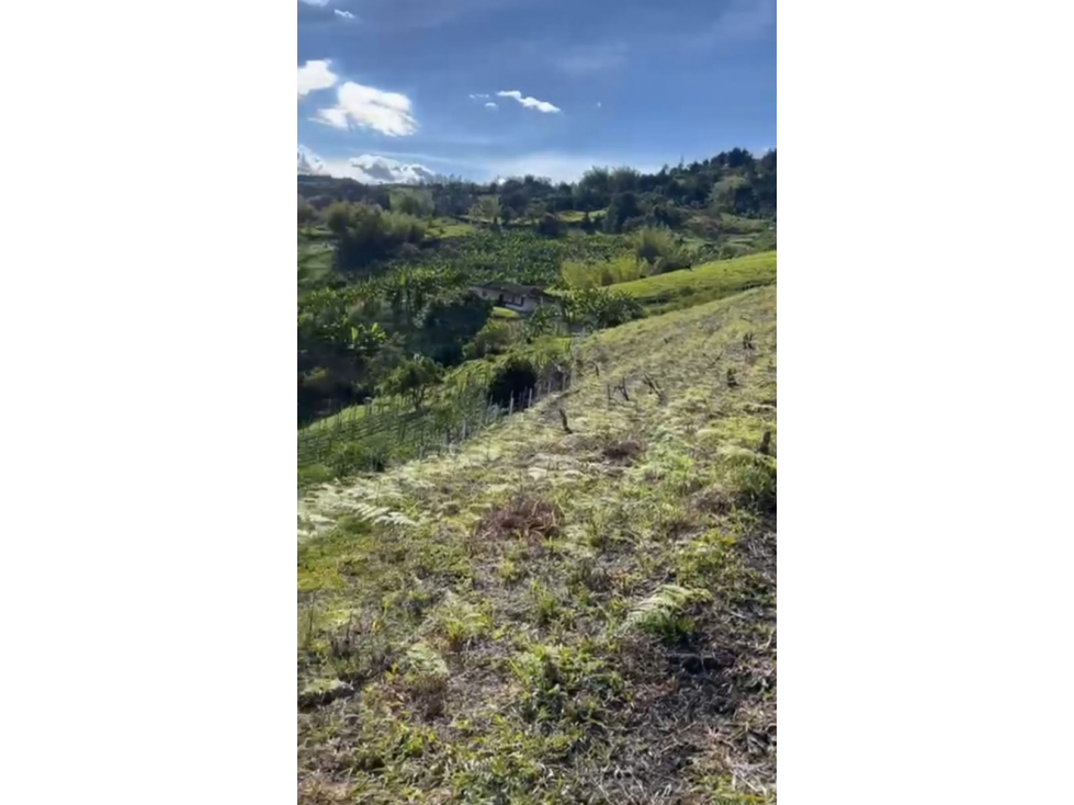 Lote en el Peñol contiguo a la represa y vista a la Piedra. 11.351 m2