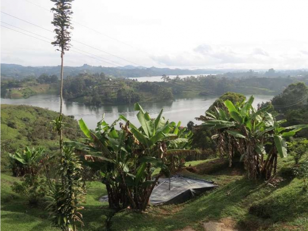 Venta Finca El Peñol con muelle en Vereda Puente Hondita