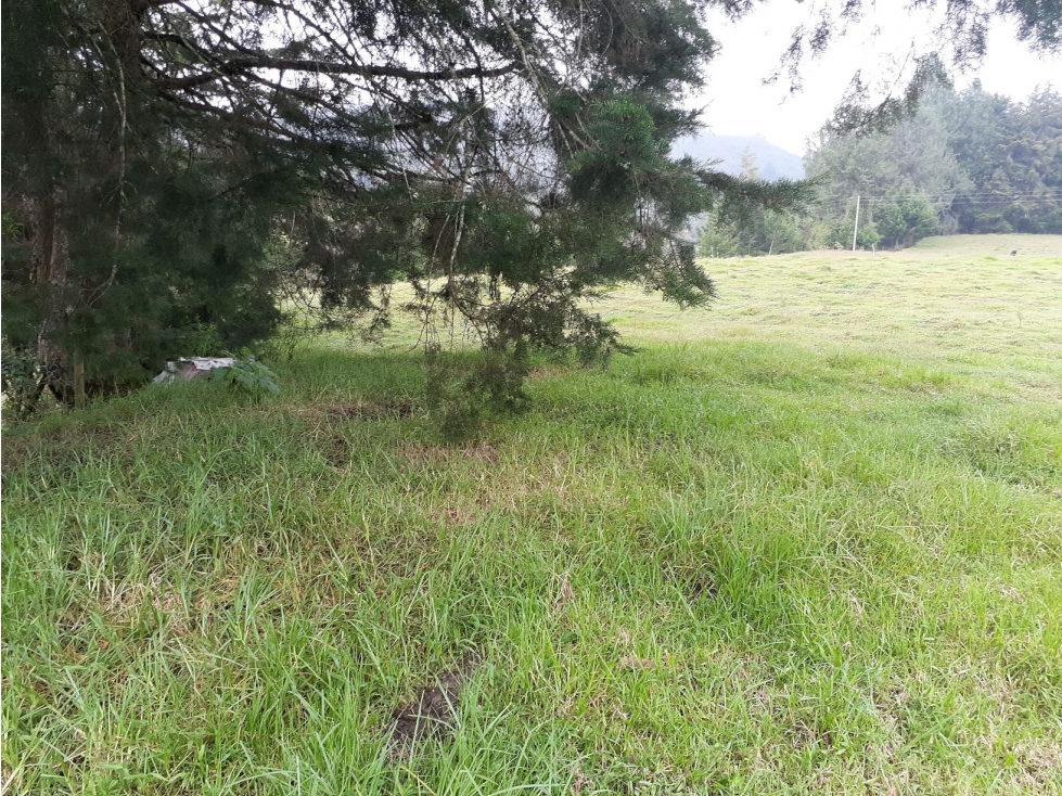 Venta Lote de Terreno en Rionegro, La Mosquita, Independiente