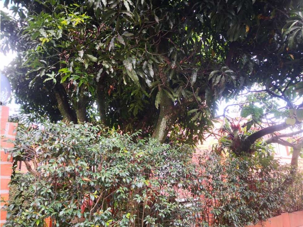 Casa en el  poblado los Parra con tomatera 4 alcobas  piscina jardines