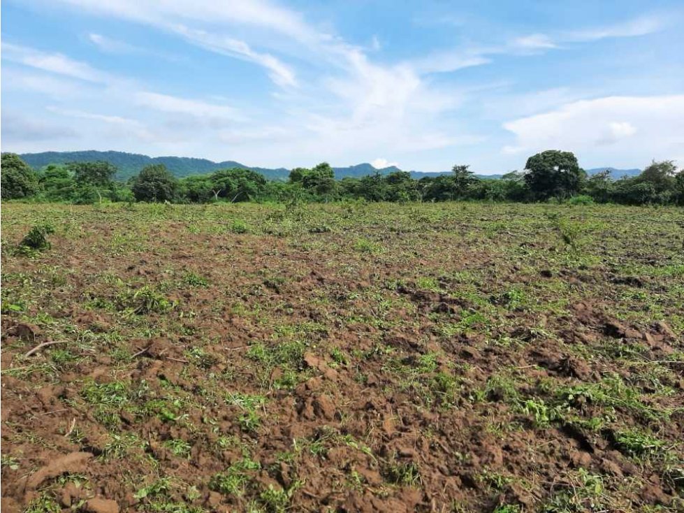 Finca Ganadera - Agricola 23 Hectareas