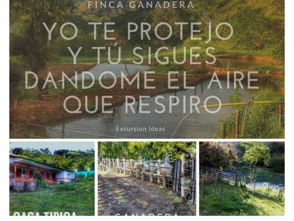 FINCA GANADERA GRANDE