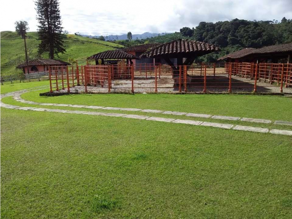 Finca ganadera para la venta en Sevilla Valle con buenas instalaciones