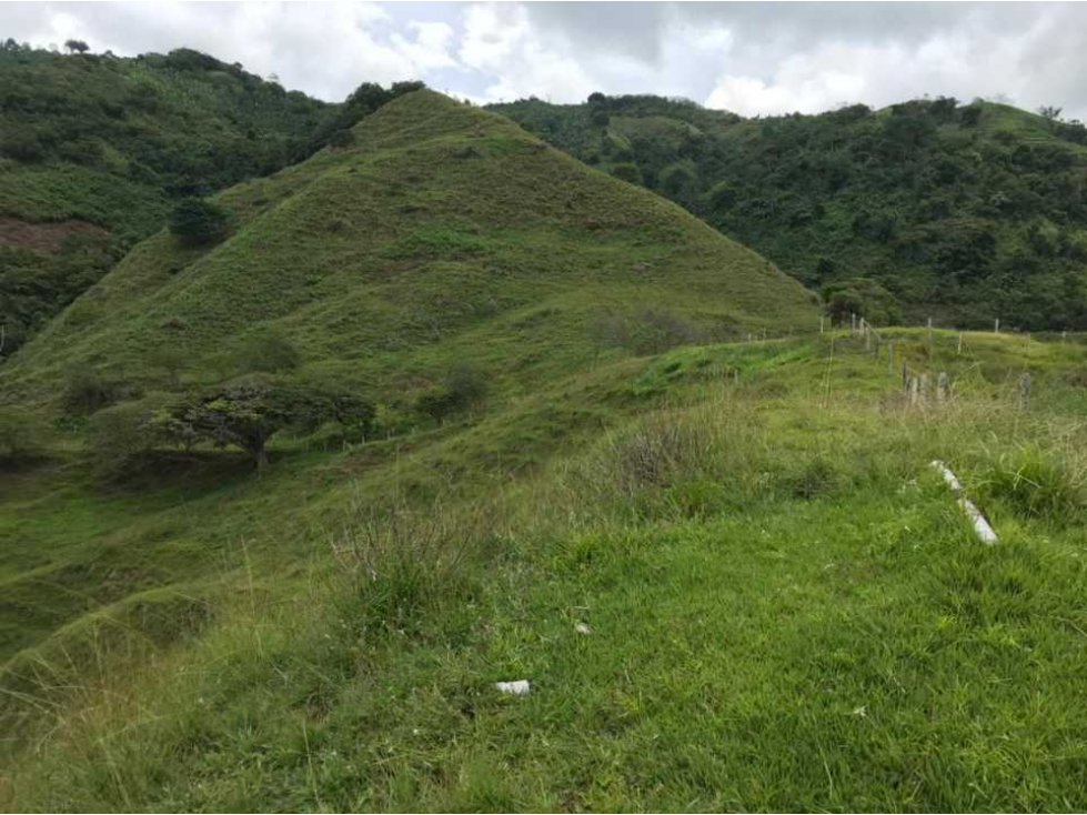 Finca Ganadera de 64 cuadras en Quebrada Nueva Valle del Cauca