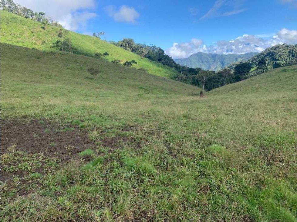 FINCA GANADERA EN PUEBLO RICO