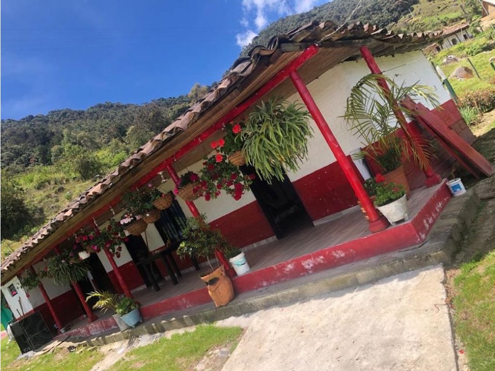 HERMOSA FINCA EN VENTA EL CÁRMEN DE VIBORAL