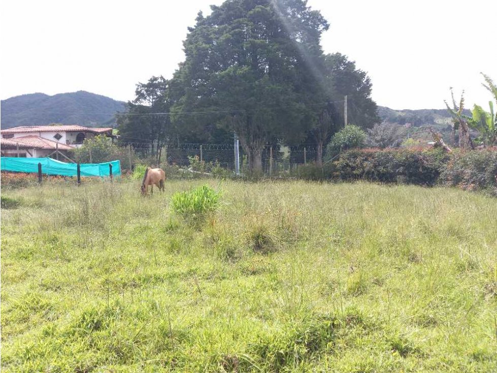 LINDO LOTE SEMIURBANO EN PROINDIVISO EN VENTA SECTOR CAMPO ALEGRE