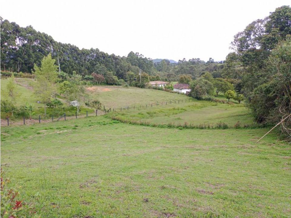 OPORTUNIDAD HERMOSOS LOTES CAMPESTRES EN VENTA EN EL CARMEN DE VIBORAL