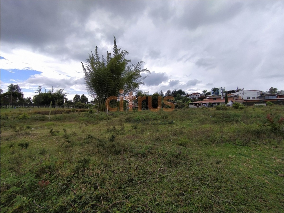 Lote en Arriendo en Rionegro - Aeropuerto