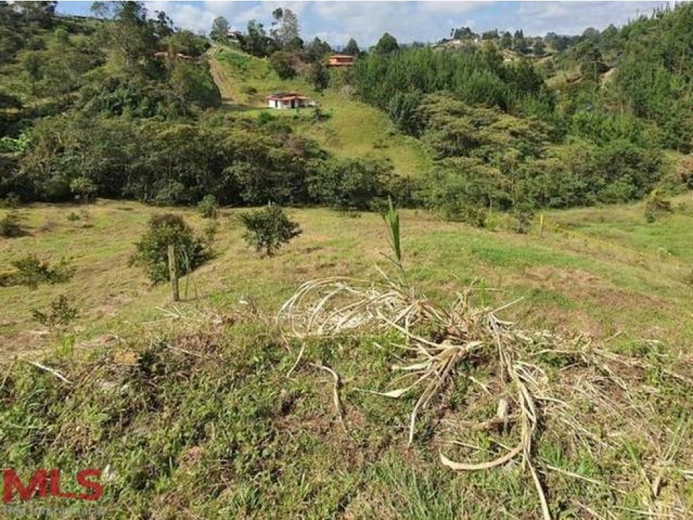 LOTE EN VENTA EN RIONEGRO CERCA AL AEROPUERTO(MLS#234818)