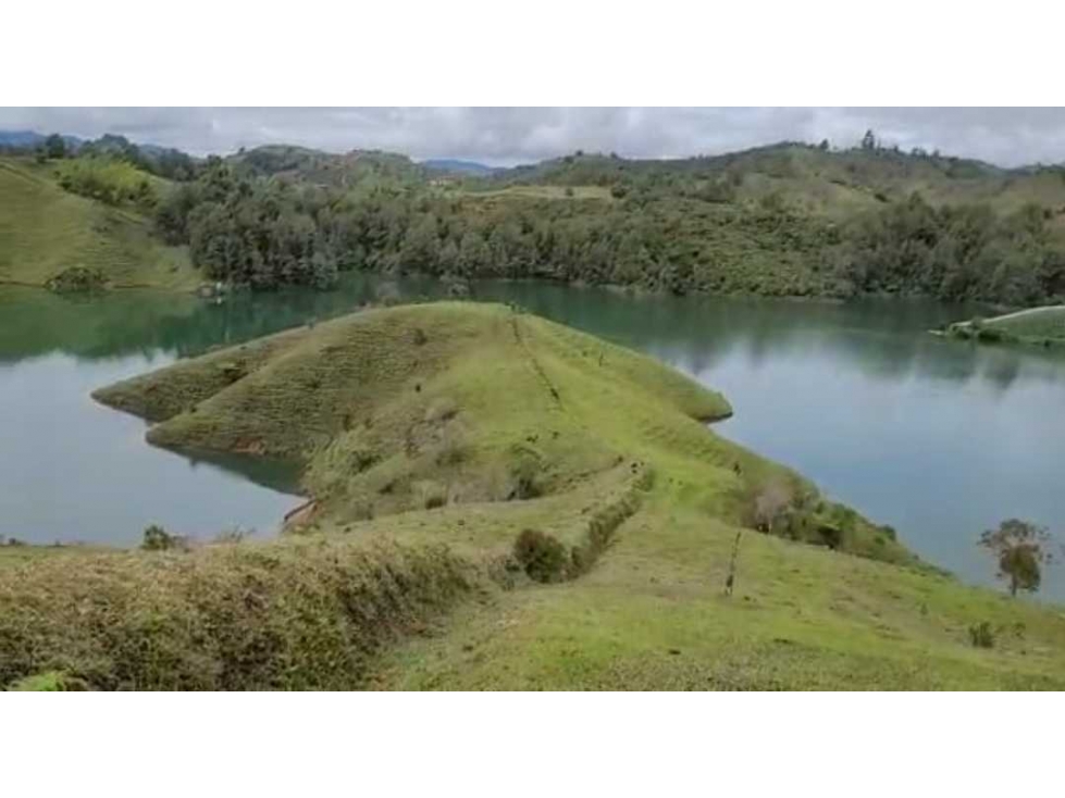 Lote guatape para la venta ( único en la zona )