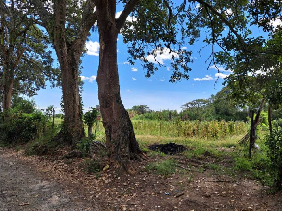 LOTE - VENTA - FLORIDA - SAN FRANCISCO - VALLE DEL CAUCA